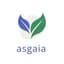 Asgaia Labs Logo